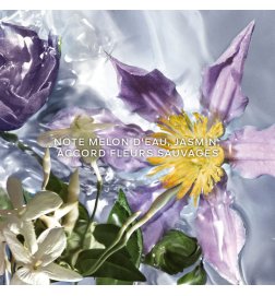 Aqua Allegoria Flora Salvaggia - Eau de Toilette Aqua Allegoria Flora Salvaggia - Eau de Toilette